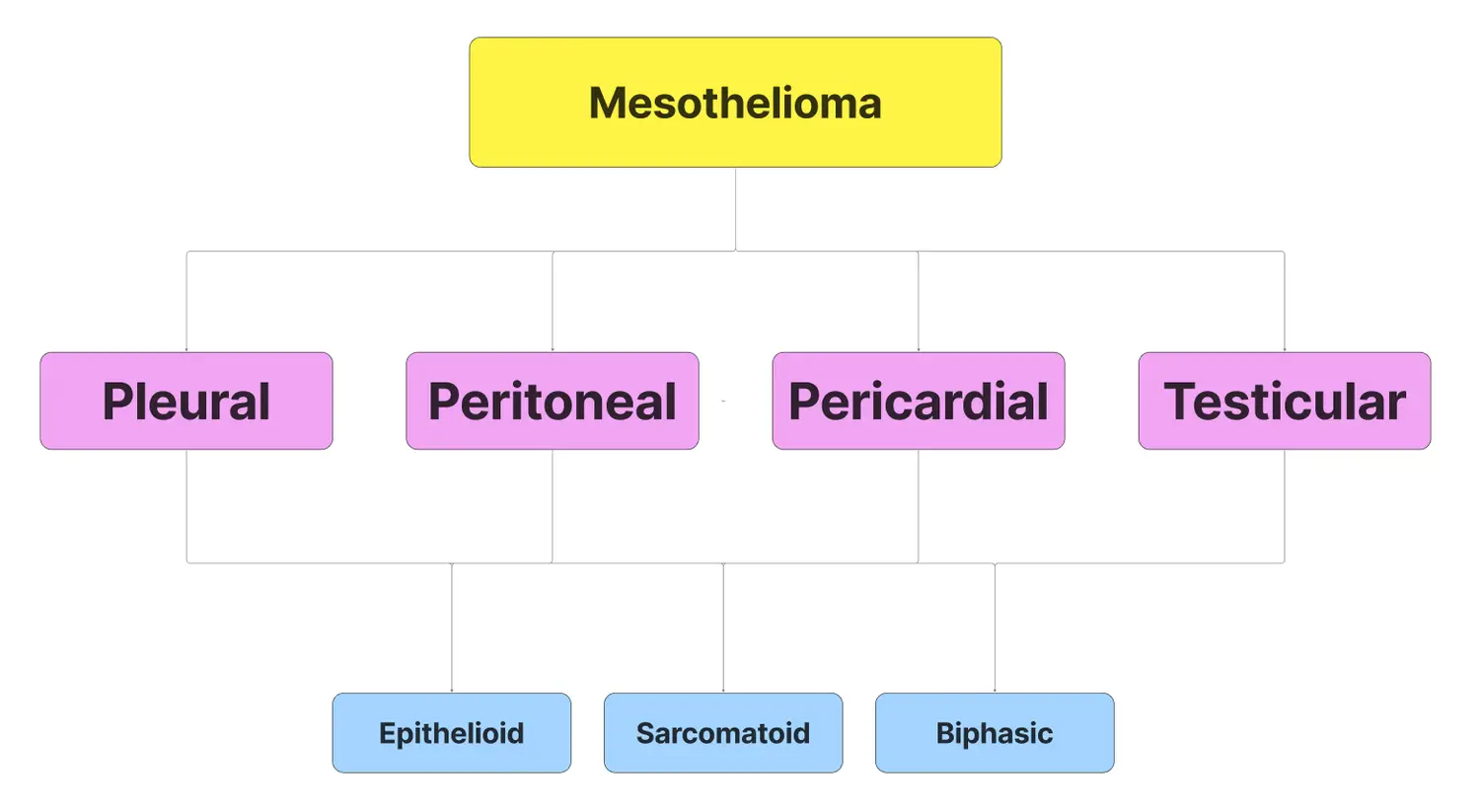 mesothelioma types and cell types